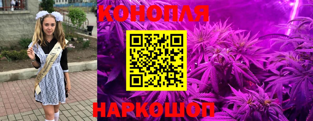 Канабис ГИДРОПОН  Конопля OG Kush  Нефтеюганск  Вход с VPN  Канабис SATIVA & INDICA 